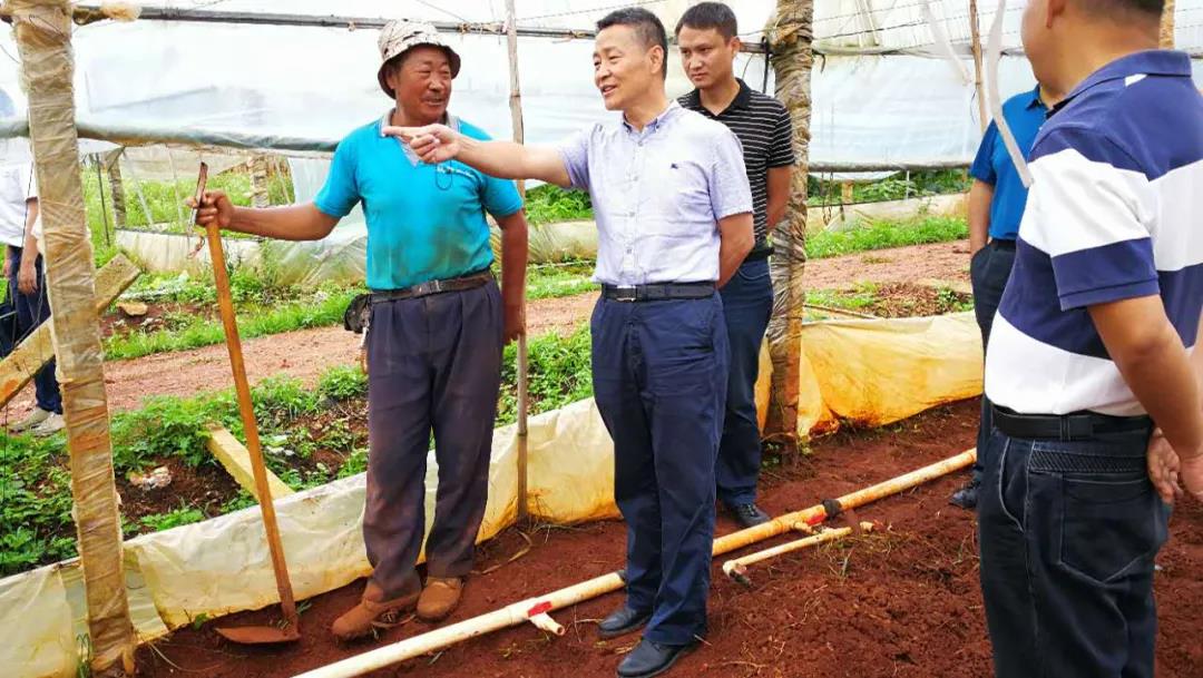 沙巴体育app官网下载(中国)官方网站-手机端通用版