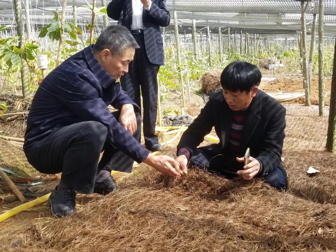 沙巴体育app官网下载(中国)官方网站-手机端通用版
