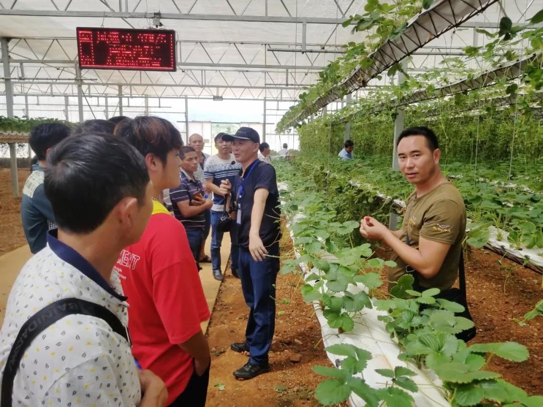 沙巴体育app官网下载(中国)官方网站-手机端通用版