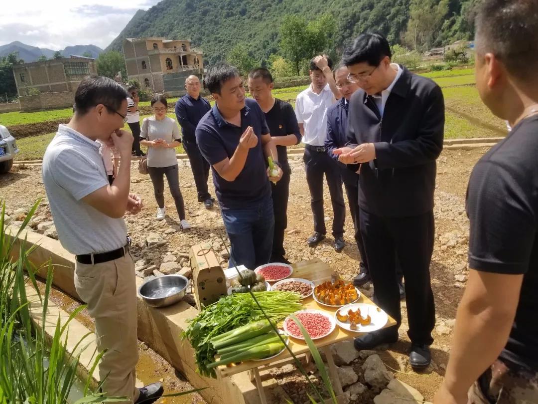 沙巴体育app官网下载(中国)官方网站-手机端通用版