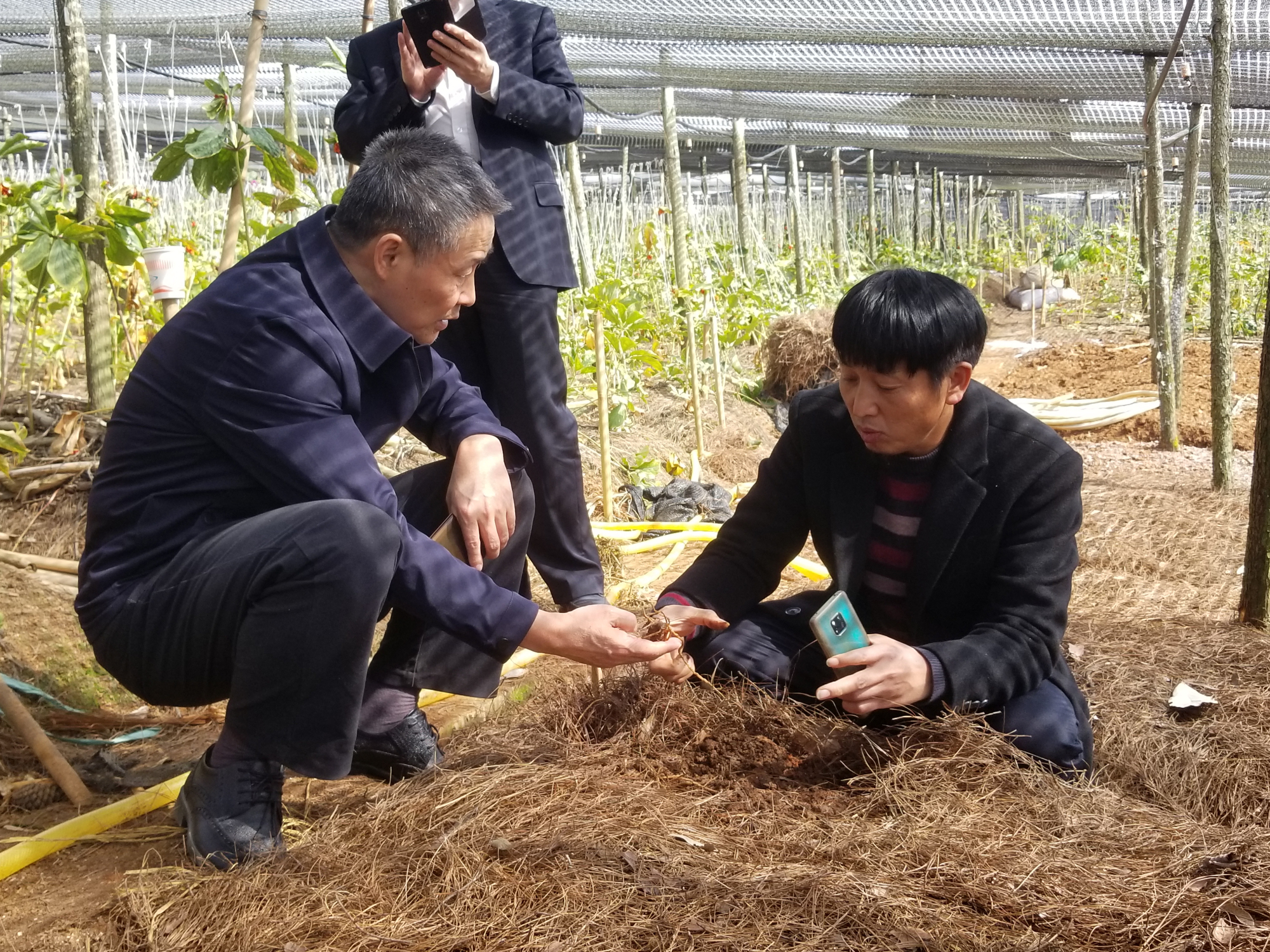 沙巴体育app官网下载(中国)官方网站-手机端通用版