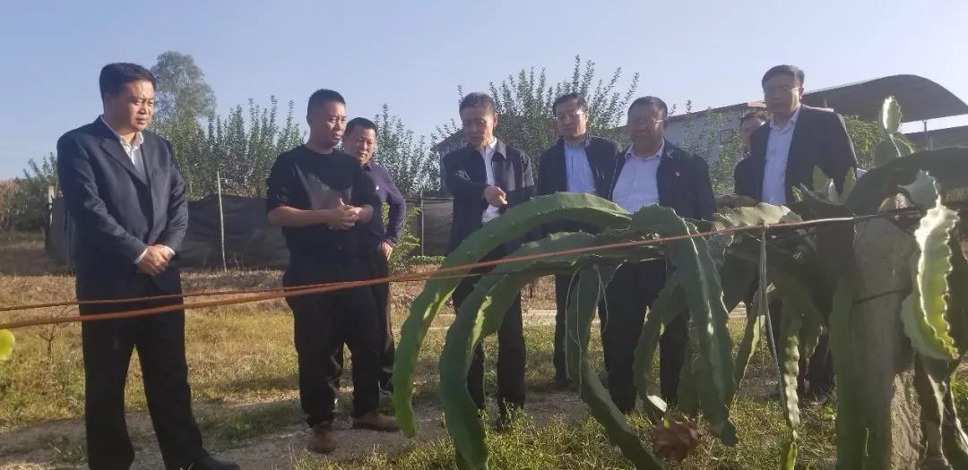 沙巴体育app官网下载(中国)官方网站-手机端通用版