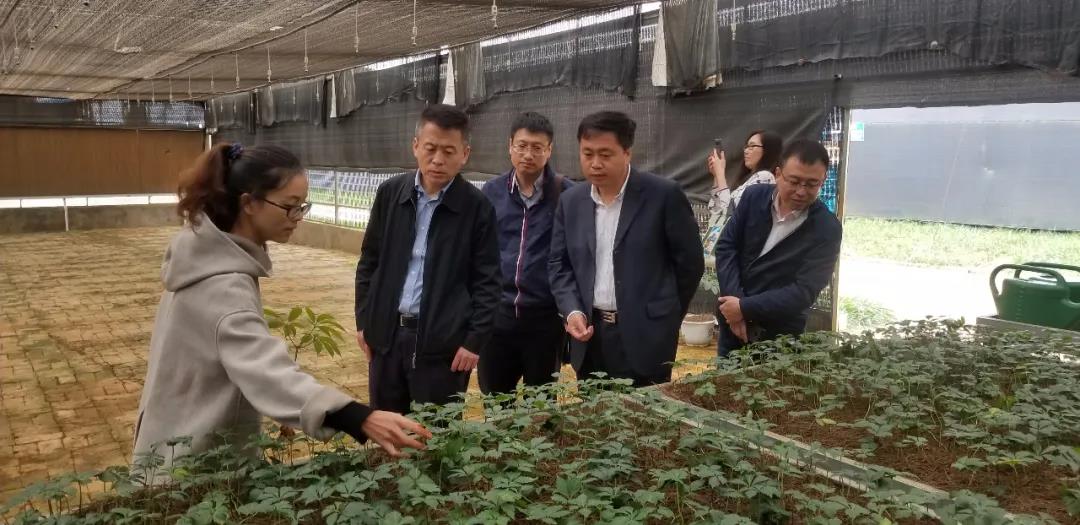 沙巴体育app官网下载(中国)官方网站-手机端通用版