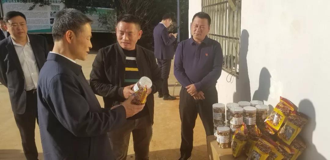 沙巴体育app官网下载(中国)官方网站-手机端通用版