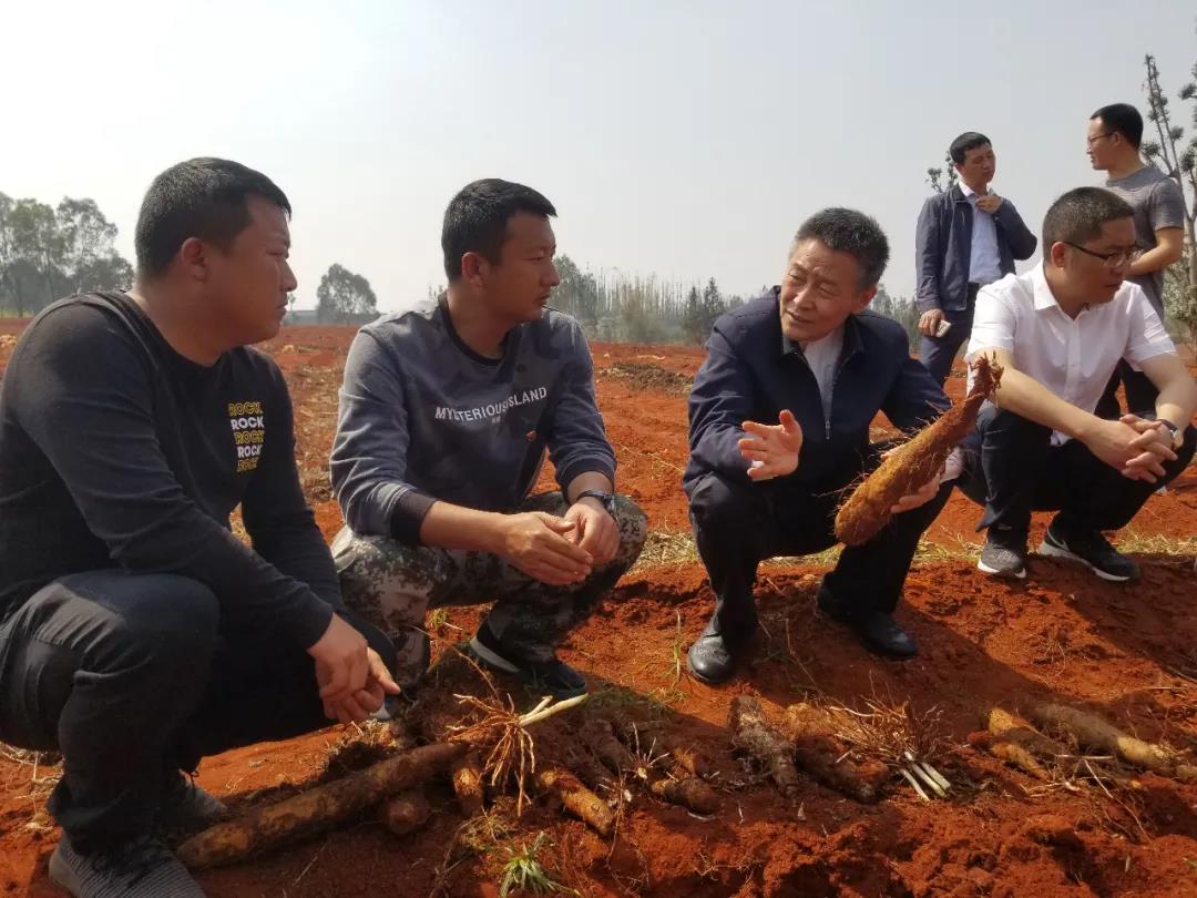 沙巴体育app官网下载(中国)官方网站-手机端通用版
