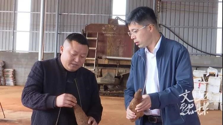 沙巴体育app官网下载(中国)官方网站-手机端通用版