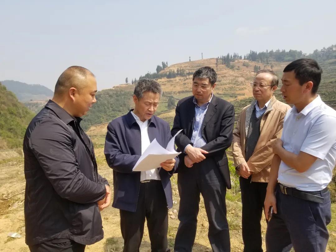 沙巴体育app官网下载(中国)官方网站-手机端通用版